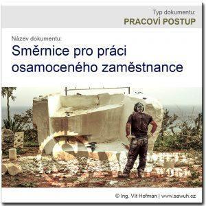 Směrnice pro práci osamoceného zaměstnance - vzor BOZP