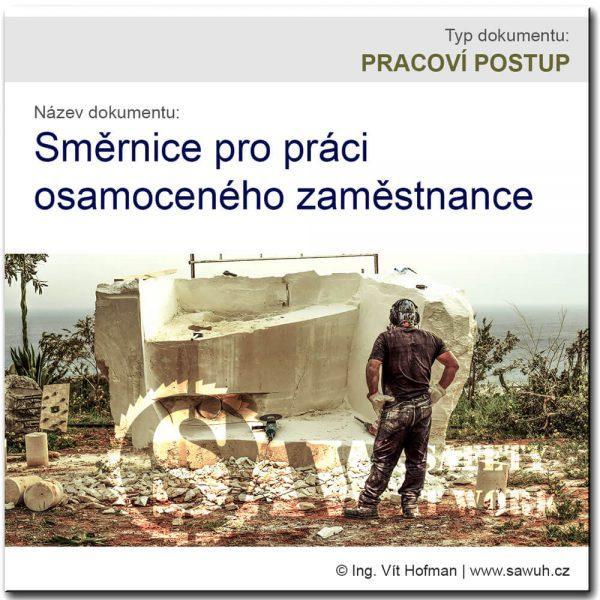 Směrnice pro práci osamoceného zaměstnance - vzor BOZP